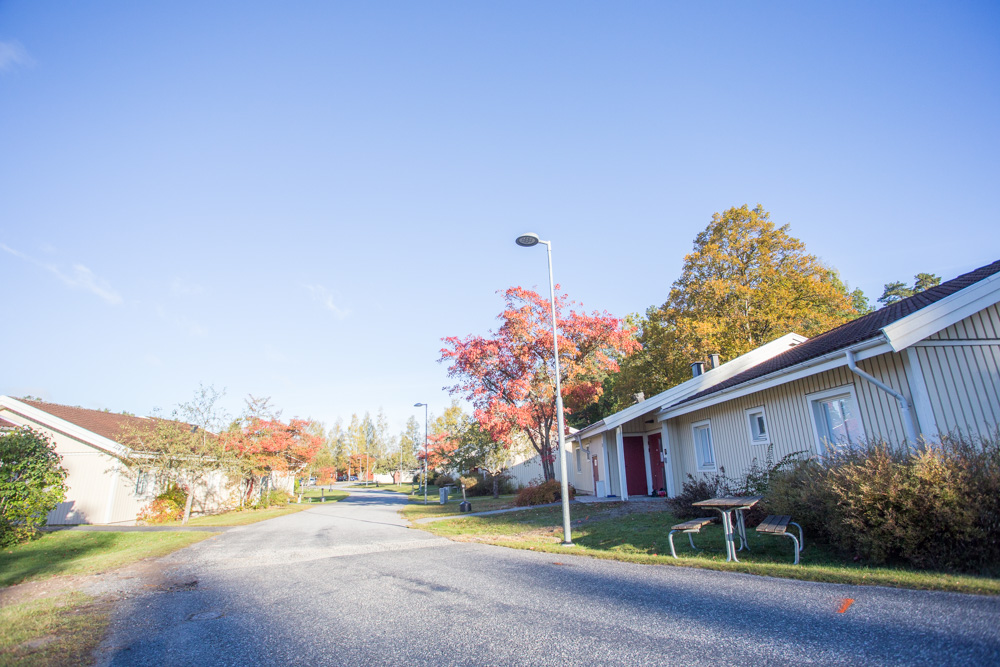 Ljusgula låga hus längs asfalterad gata. Blå himmel och höstfärgade träd.