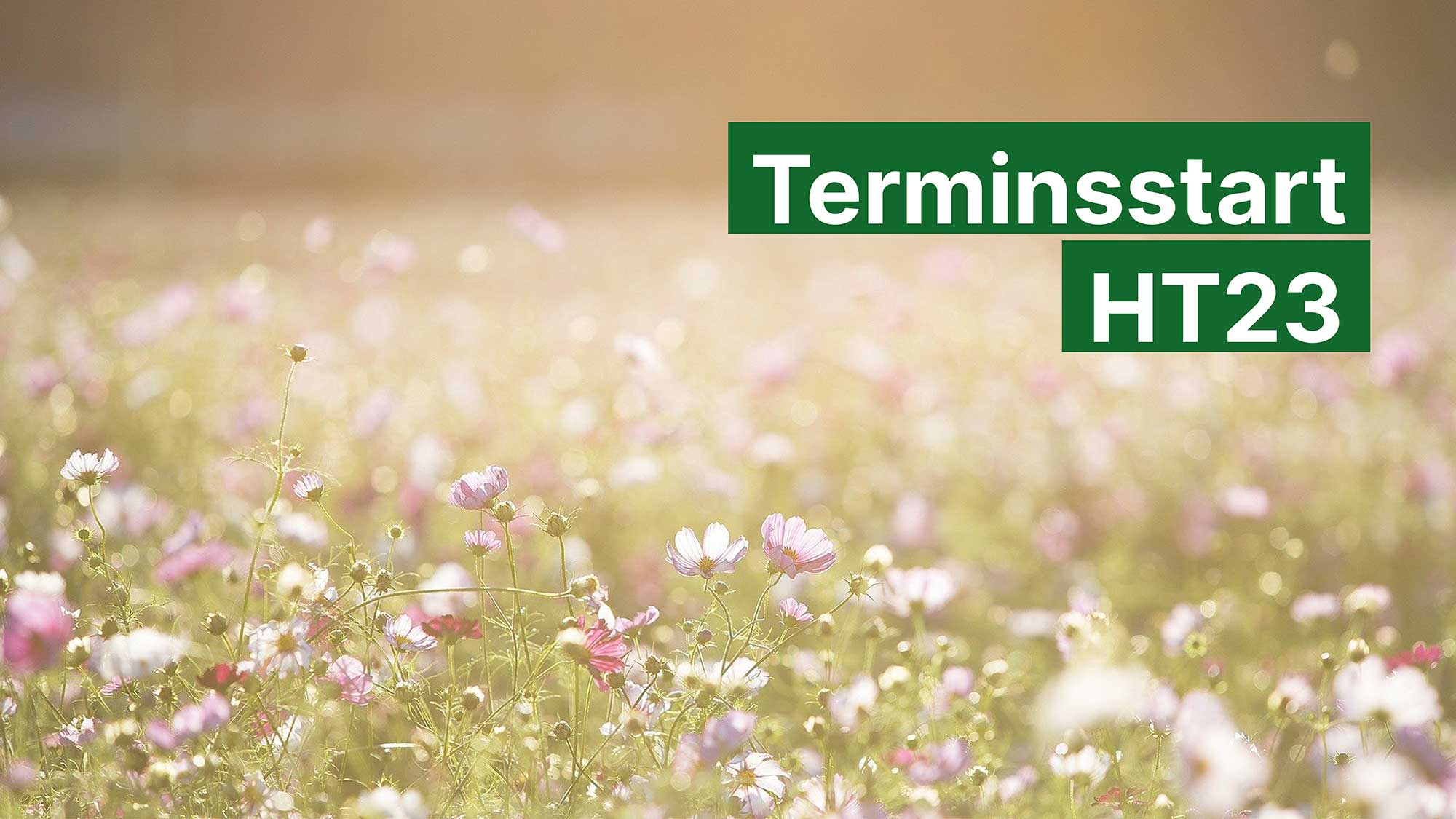 Blommande sommaräng i motljus. vit text på grön botten: "Terminsstart HT23".