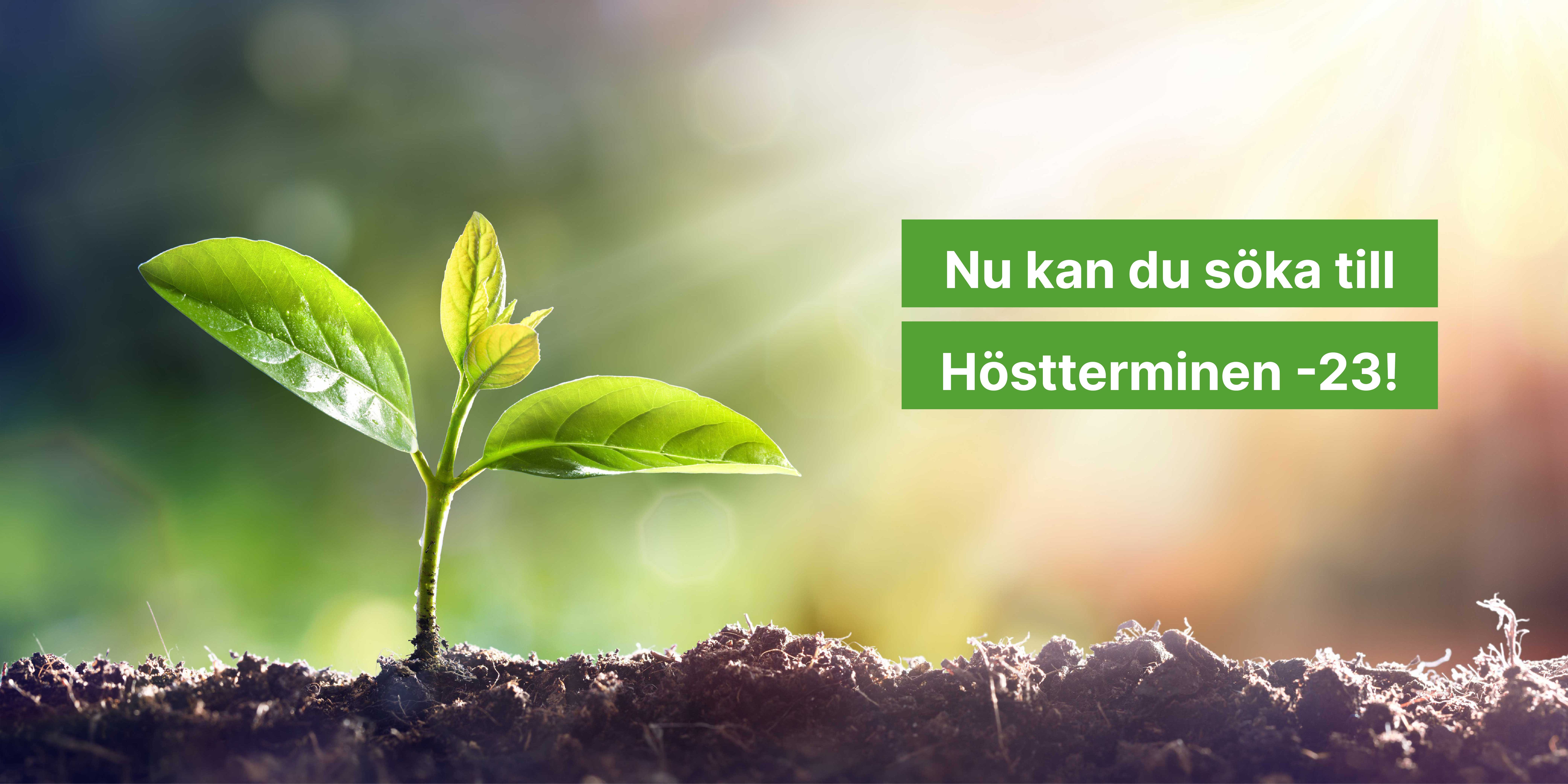 Grön grodd i jord i motljus. Vit text på grön botten: "Nu kan du söka till Höstterminen -23!"